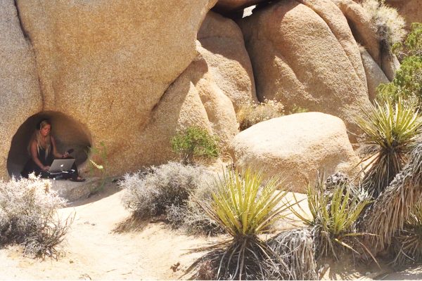 Joshua Tree Califonia USA